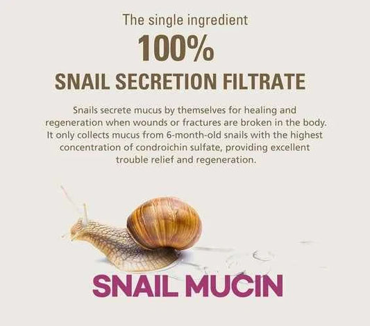 Notseeback Drop-In Muco Snail Essence 50ml